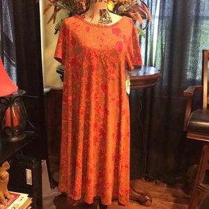 LuLaRoe Carly dress Size XL. Beautiful!!